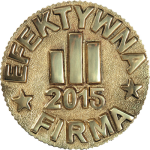 Efektywna Firma 2015